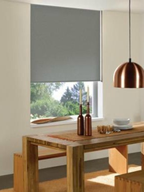 Reminiscent Vinyl Blackout Roller Shades 